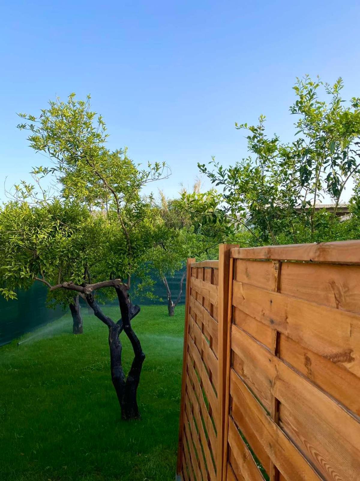 Manolis Cozy Home Chania  ภายนอก รูปภาพ